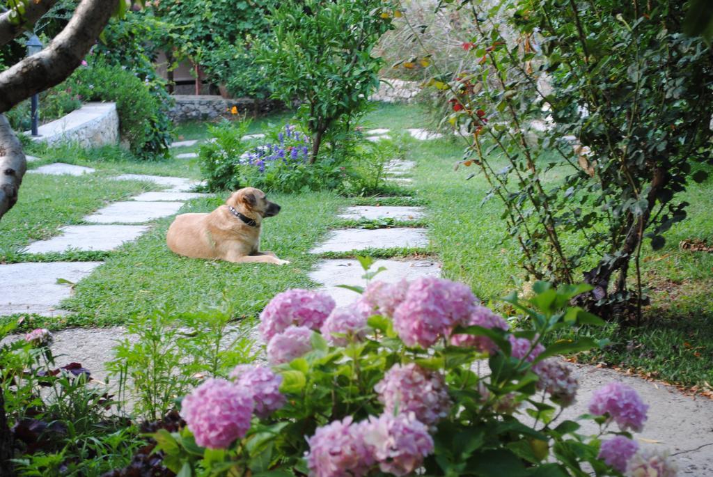 Kleo Cottages Kalkan Cameră foto