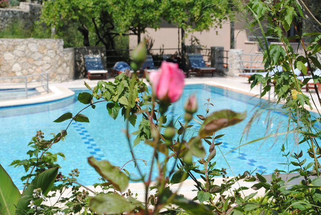 Kleo Cottages Kalkan Cameră foto