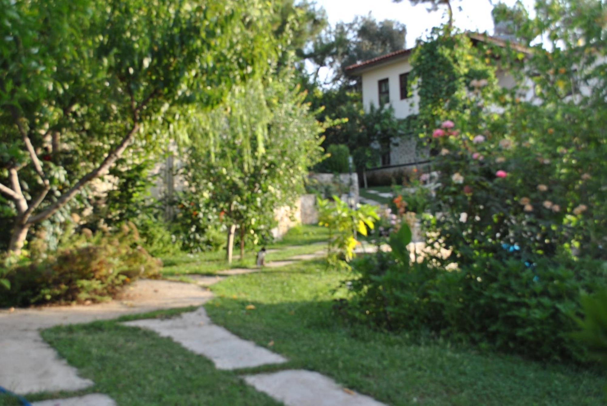 Kleo Cottages Kalkan Exterior foto